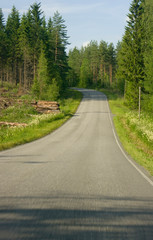 road in summer