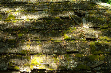 Wood texture of a roof