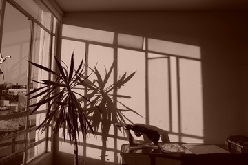 Sombras en sepia