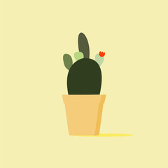 kawaii cactus icon vector. Cactus vector illustrations. Cute colorful succulents and cacti flat style on color background. Botanical collection of houseplants