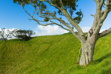 ニュージーランド　オークランドのマウント・エデンの噴火口