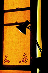 Lamp & Window Shade -- A silhouetted table lamp against a back lit window shade