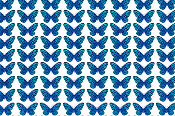 Blue butterfly pattern on white background