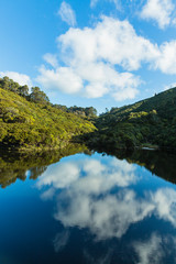 Fototapeta na wymiar ニュージーランド　ウェリントンのエコサンクチュアリーのジーランディア