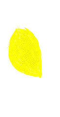 Leuchtend gelbe Zitrone