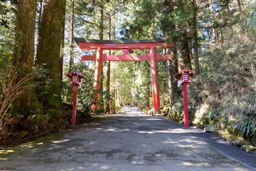 Fototapeta na wymiar 箱根神社の鳥居