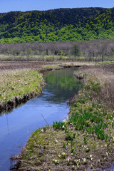 春の下ノ大堀川