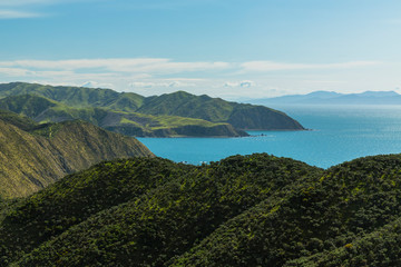 ニュージーランド　ウェリントン近郊のマカラの海岸