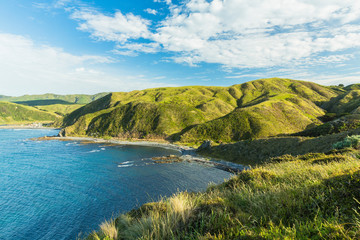 Obraz premium ニュージーランド ウェリントン近郊のマカラビーチの風景