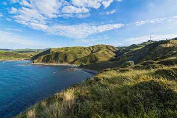 Fototapeta na wymiar ニュージーランド　ウェリントン近郊のマカラビーチの風景