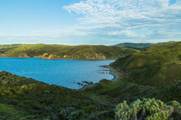 ニュージーランド　ウェリントン近郊のマカラビーチの風景