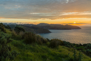 ニュージーランド ウェリントン近郊のマカラ・ウォークウェイの丘からの夕日