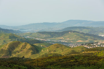 Obraz premium ニュージーランド ウェリントンのマウント・カウカウからの風景