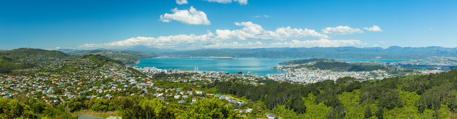 Obraz premium ニュージーランド ウェリントンのライト・ヒル・フォートレスからの街並み