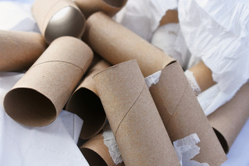 Empty Toilet Tissue Rolls