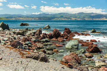 Fototapeta na wymiar ニュージーランド　ウェリントンのレッド・ロックスの赤い岩