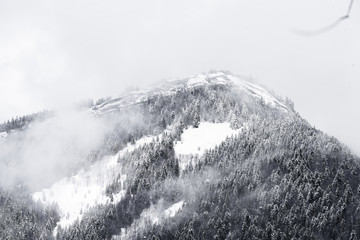 cirque de saint meme