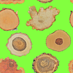 Cuts of trees, seamless pattern.