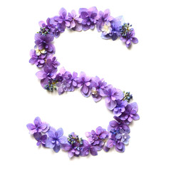 Fototapeta na wymiar Flower alphabet