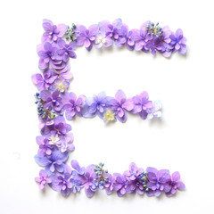 Fototapeta na wymiar Flower alphabet