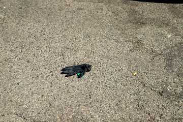 Used rubber gloves on the street during covid_19