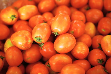 tomatoes on a black background