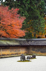 Ryoanji Temple rock garden, autumn scenery in Kyoto Japan