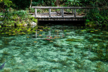 岐阜県のなもなき池