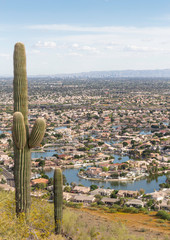 Mountain View Arizona Real Estate