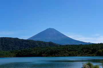 精進湖からの富士山