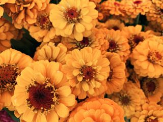 bouquet of flowers