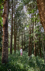 Caucasian men walking and exploring a trek trail in a forest