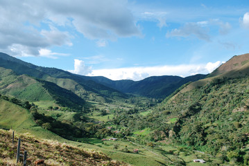 Fototapeta na wymiar Colombian coffee process with beautiful landscapes