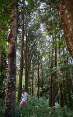 Caucasian men walking and exploring a trek trail in a forest