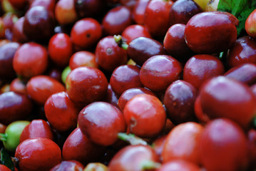 Colombian coffee process with beautiful landscapes