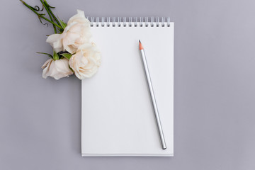 Blank paper and, pencil, flower on blue background