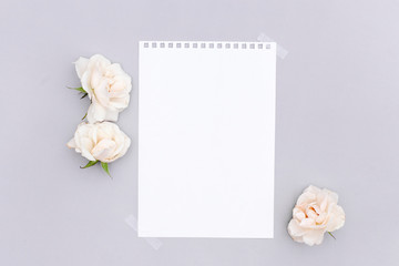 Obraz na płótnie Canvas Blank paper and roses on blue background