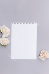 Blank paper and roses  on blue background