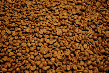 Colombian coffee process with beautiful landscapes