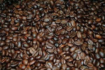 Colombian coffee process with beautiful landscapes