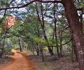 Arizona Path