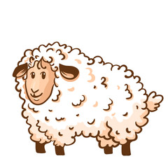 Cute curly sheep on white isolated, vector illustration