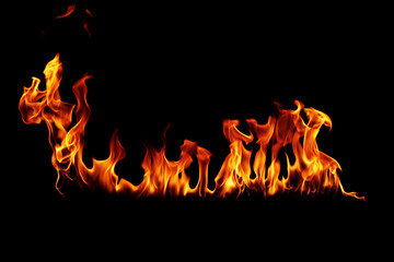 Fire flame burn on a black background