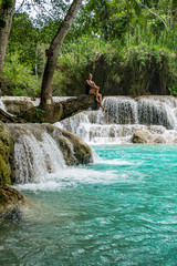 Fototapeta na wymiar Kouang Si Waterfall Laos Asia