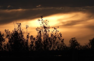 Beautiful golden sunset at dusk