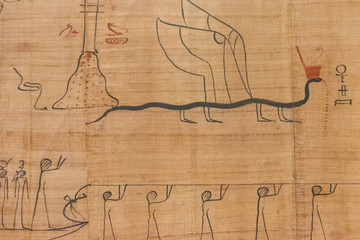Close-up of the ancient egyptian papyrus