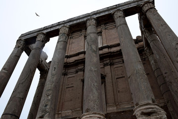 Fototapeta premium architecture, building, Italy, europe, Rome, colosseum