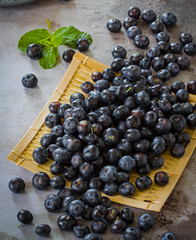 Blueberries