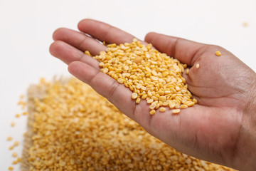 yellow moong mung dal lentil pulse bean in hand on white background