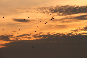 夕焼73